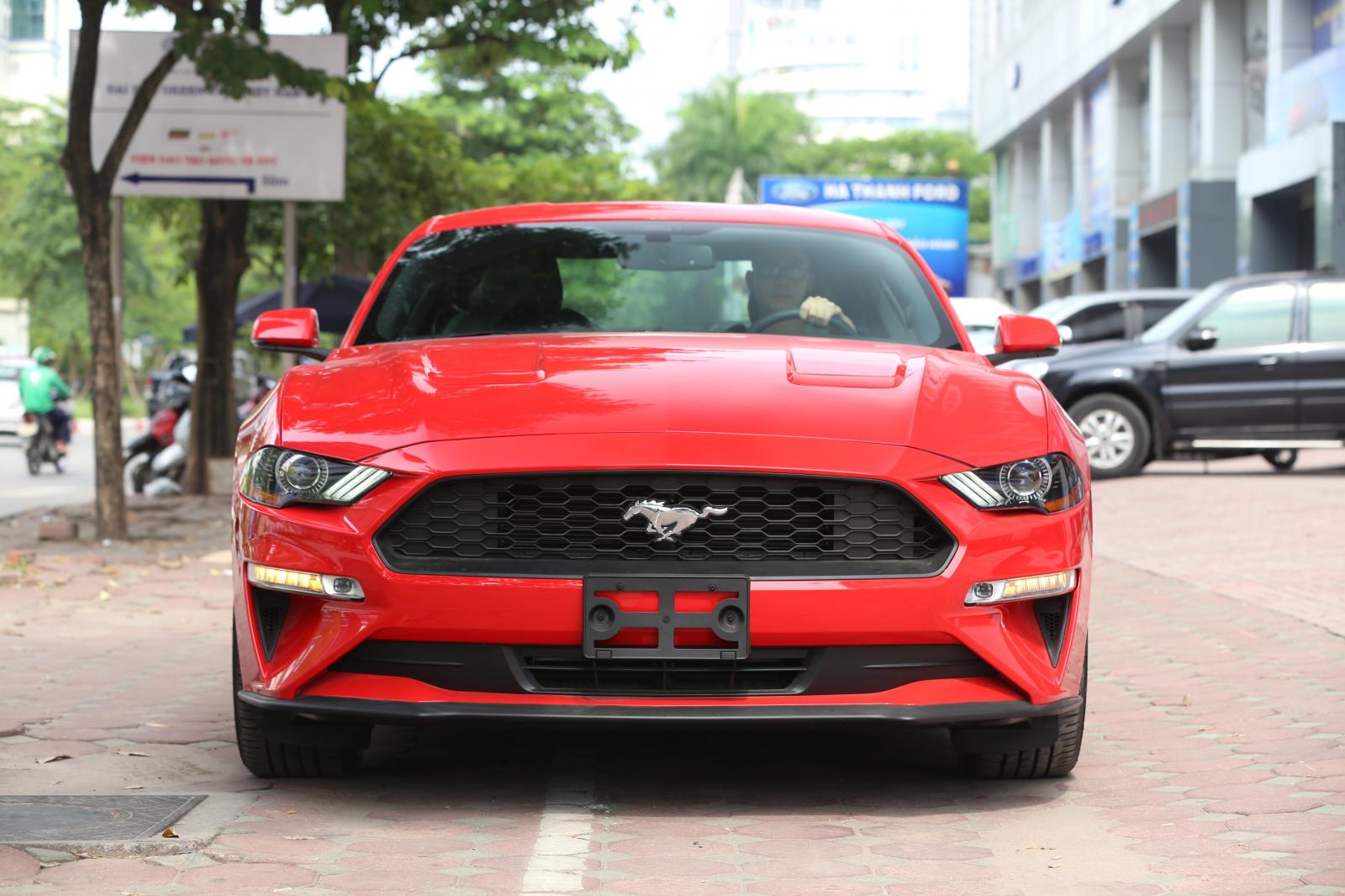Ford Mustang 2.3 EcoBoost Fastback 2019, màu đỏ