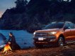 Ford Ranger Wildtrack 3.2L 2016 - Bán Ford Ranger Wildtrack 3.2L đời 2016, màu vàng, xe nhập