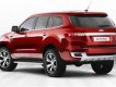 Ford Everest 2.2 AT 4x2 2015 - Ford Bình Định bán Ford Everest 2.2 AT 4x2  phiên bản 2016, màu trắng, nhập khẩu