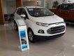 Ford EcoSport Titatium 2017 - Bán Ford EcoSport Titatium đời 2017, Khuyến mại Bảo hiểm thân vỏ và hỗ trợ trả góp tại Thái Nguyên