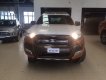 Ford Ranger 2019 - Bán Ranger Wildtrak XLT, XLS, XL - Hỗ Trợ vay 80-90%, lãi suất 0.6%, LH 0907.662.680