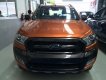 Ford Ranger Wiltrak 3.2 AT 4x4 2018 - Bán xe Ford Ranger Wildtrak 3.2 AT 4x4 mới 100% năm 2018, đủ màu giao, hỗ trợ trả góp và giao xe tại Hải Phòng