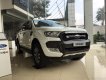 Ford Ranger Wiltrak 2.2 AT 4x2 2018 - Hỗ trợ trả góp, Giao xe tại Bắc Kạn với chiếc Ford Ranger Wiltrak 2.2 AT mới 100% sản xuất 2018