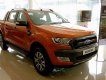 Ford Ranger Wiltrak 2.2 AT 4x2 2017 - Xe Ford Ranger Wiltrak 2.2 AT 4x2 số tự động, Hỗ trợ trả góp và bán xe tại Điện Biên