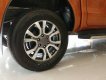 Ford Ranger Wiltrak 2.2 AT 4x2 2017 - Xe Ford Ranger Wiltrak 2.2 AT 4x2 số tự động, Hỗ trợ trả góp và bán xe tại Điện Biên