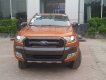 Ford Ranger Wildtrak 3.2 AT 4x4 2018 - Ford Ranger Wildtrak 3.2 AT 4x4 đời 2018, Hỗ trợ trả góp tại Hà Giang