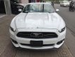 Ford Mustang GT 5.0AT 2015 - Auto Cộng Hòa cần bán Ford Mustang GT 5.0AT 2015, màu trắng, nhập khẩu