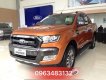 Ford Ranger Wildtrak 3.2L 4x4AT 2018 - An Đô Ford - Ford Ranger Wildtrak 3.2 AT 4x4 màu cam (Định vị toàn cầu) - Hỗ trợ trả góp