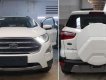 Ford EcoSport 2019 - Bảng Giá Xe Ford EcoSport đời 2019, KM lớn, tặng BHTV, Tel: 0919.263.586