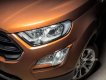 Cần bán xe Ford EcoSport Titanium đời 2018, Giá xe đàm phán tốt nhất, Hỗ trợ trả góp 80%