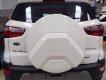 Ford Escort Titanium 2018 - Ford Ecosport 5 chỗ, số sàn, màu nâu, tiện dụng