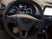 Ford Escort Titanium 2018 - Ford Ecosport 5 chỗ, số sàn, màu nâu, tiện dụng