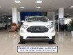 Ford EcoSport Titanium 2020 - Giao ngay Ford Ecosport Titanium năm 2020, màu trắng, giá cả thương lượng, hỗ trợ trả góp