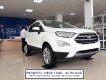 Ford EcoSport Titanium 2020 - Giao ngay Ford Ecosport Titanium năm 2020, màu trắng, giá cả thương lượng, hỗ trợ trả góp