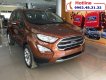 Ford EcoSport Titanium 2018 - Cần bán lại xe Ford EcoSport Titanium năm 2018, màu Đỏ Đồng, Hỗ trợ trả góp 80%