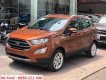 Ford EcoSport 2019 - Ford EcoSport đời 2019, màu nâu liên hệ 0938211346 để nhận được ưu đãi mới nhất