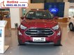 Ford EcoSport 2018 2018 - An Đô Ford bán các phiên bản Ford Eocpsort 2018 tại Thái Nguyên, hỗ trợ trả góp và giao xe tại nhà