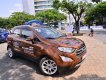 Ford EcoSport 2018 2018 - An Đô Ford bán các phiên bản Ford Eocpsort 2018 tại Thái Nguyên, hỗ trợ trả góp và giao xe tại nhà