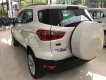 Ford EcoSport Trend 2018 - Ecosport 1.5 AT  2018