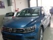 Ford Ford khác E 2019 - Bán xe Volkswagen Tiguan 2019 – mẫu xe 5+2 đam mê không giới hạn – hotline: 0909 717 983