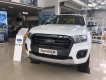 Ford Ranger Wildtrak 2.0L AT 2019 - Bán Ford Ranger Wildtrak 2.0L AT đời 2019, nhập khẩu nguyên chiếc, giá tốt