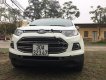 Ford EcoSport Titanium 1.5L AT 2014 - Bán ô tô Ford EcoSport Titanium 1.5L AT 2014, màu trắng giá cạnh tranh
