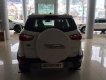 Ford EcoSport Titanium 1.0L Ecoboost 2019 - Cần bán xe Ford EcoSport Titanium 1.0L Ecoboost đời 2019, màu trắng, 665tr