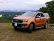 Ford Ranger Wildtrack 2017 - Bán ô tô Ford Ranger Wildtrack năm sản xuất 2017, màu nâu, nhập khẩu nguyên chiếc  