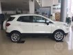 Ford EcoSport Trend 2019 - Cần bán xe Ford EcoSport Trend đời 2019, màu trắng