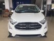 Ford EcoSport Trend 2019 - Cần bán xe Ford EcoSport Trend đời 2019, màu trắng