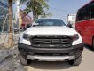 Ford Ranger 2019 - Đại lý xe Ford An Đô bán xe Ford Ranger Raptor hỗ trợ trả góp 80%, hỗ trợ giá tốt tại Bắc Giang