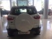 Ford EcoSport Titanium 1.0L Ecoboost 2019 - Bán Ford EcoSport Titanium 1.0L Ecoboost sản xuất 2019, màu trắng