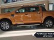 Ford Ranger  WildTrack  2018 - Cần bán Ford Ranger Wildtrack sản xuất năm 2018, màu nâu, nhập khẩu, giá chỉ 838 triệu