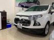 Ford EcoSport   Titanium 1.5 AT 2015 - Bán Ford EcoSport Titanium 1.5 AT sản xuất 2015, màu trắng  