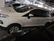 Ford EcoSport   AT 2017 - Cần bán xe Ford EcoSport AT sản xuất năm 2017, màu trắng, xe nhập