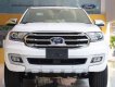 Ford Everest 2019 - Bán Ford Everest sản xuất 2019, nhập khẩu nguyên chiếc