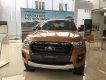 Ford Ranger Wildtrak 2019 - Bán xe Ford Ranger Wildtrak sản xuất 2019, nhập khẩu nguyên chiếc