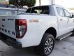 Ford Ranger 2019 - Cần bán Ford Ranger Wildtrak sản xuất năm 2019, xe nhập