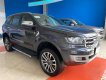Ford Everest 2018 - Giá giảm sâu 150tr cho Ford Everest Ambient 2018, màu xám, xe nhập nguyên chiếc