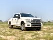 Cần bán xe Ford F 150 Platinum sản xuất 2015, màu trắng, xe nhập
