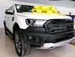 Ford Everest Titanium 2020 - Bán xe Ford Everest Titanium 2020, nhập khẩu chính hãng