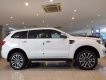 Ford Everest 2020 - Cần bán xe Ford Everest đời 2020, nhập khẩu