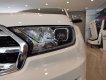 Ford Everest 2020 - Cần bán xe Ford Everest đời 2020, nhập khẩu