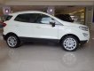 Ford EcoSport 2020 - Bán xe Ford EcoSport đời 2020, màu trắng