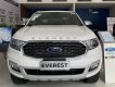 Ford Everest 2021 - Bán Ford Everest đời 2021, đủ màu - giao ngay