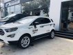 Ford EcoSport   Titanium 2018 - Cần bán xe Ford EcoSport Titanium đời 2018, màu trắng như mới, giá tốt
