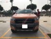 Ford Ranger      2016 - Cần bán lại xe Ford Ranger năm sản xuất 2016, màu nâu, nhập khẩu  