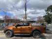 Ford Ranger Wildtrack   2017 - Bán Ford Ranger Wildtrack năm 2017, màu nâu, nhập khẩu nguyên chiếc còn mới