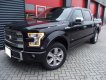 Ford F 150 Platinum 2016 - Cần bán Ford F 150 Platinum sản xuất năm 2016, màu đen, nhập khẩu 