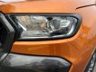 Ford Ranger 2017 - Màu nâu, xe nhập giá cạnh tranh
